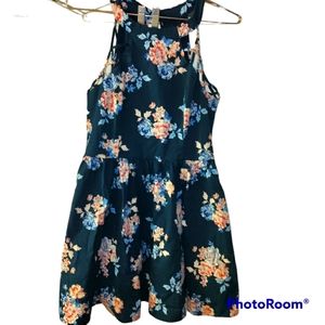 Charlotte Russ Blue Floral Dress